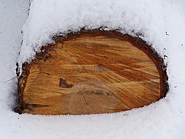 雪,冬季,行李箱
