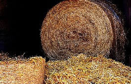 秸稈,稻草包,農(nóng)業(yè)