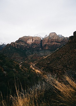 自然,山,草