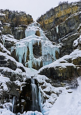 雪,冬天,白