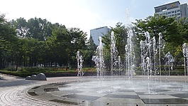 公園,噴泉,夏天