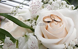 花,婚禮,自然