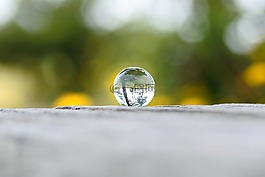 自然,景觀,木材