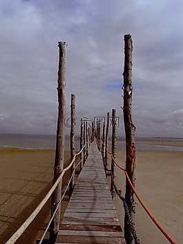 水域,海,海灘