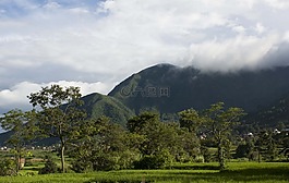綠色,自然,小山