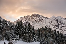 雪,山,冬天