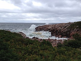 海洋,海岸,布雷顿角