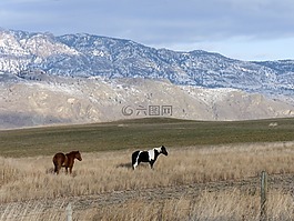 rollig,丘陵,山