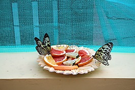 蝴蝶,性質(zhì),昆蟲