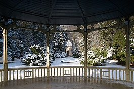 旅行,旅游,公園