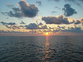 海洋,日落,地平線