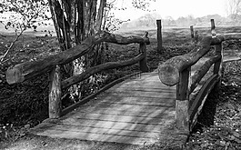 橋,森林,漢堡