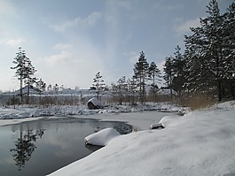 冬天,自然,雪