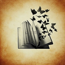 本書,蝴蝶,自由