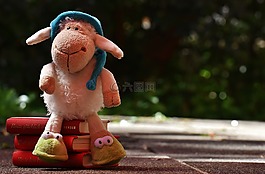 羊,貪睡,毛絨