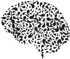 腦,a,我