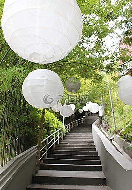自然,路徑,光