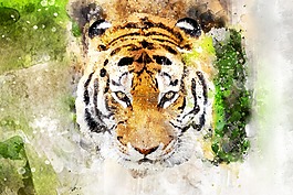 獅子,水彩,多彩