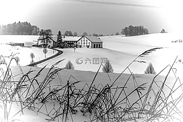 冬天,寒冬,雪
