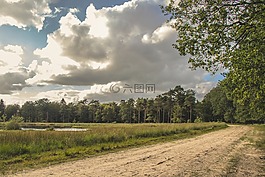 路,自然,景觀
