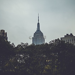 紐約,城市,馬
