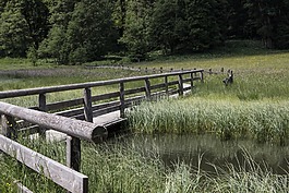 網(wǎng)站,橋,水