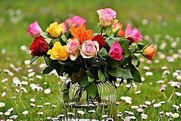 玫瑰,花束,鮮花