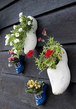 荷蘭,鞋,花盆
