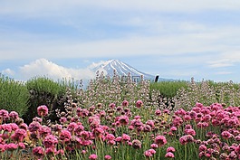 日本,富士山,富士san