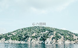 自然,景觀,樹