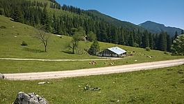 阿爾姆,山地自行車(chē),性質(zhì)