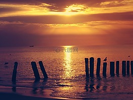 海,景觀,日落
