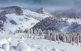 雪,冬天,白
