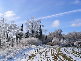 雪,藍色的天空,凍結