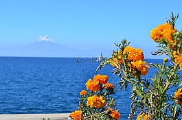 火山,湖,橙色