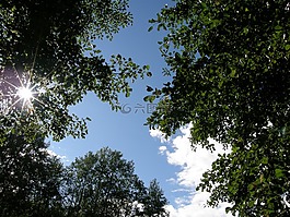 天空,云,夏天