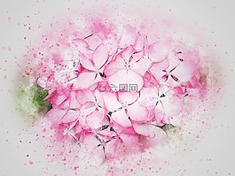 花,粉紅色,藝術(shù)