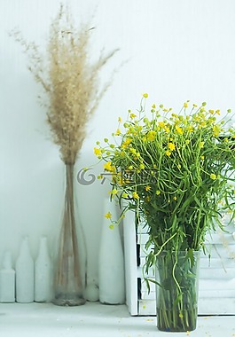 花瓶,夏季,黃色