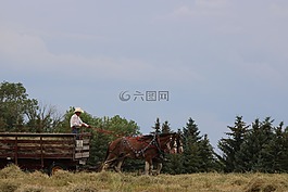 戶外,自然,天空