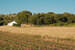 农村,alentejo,葡萄牙