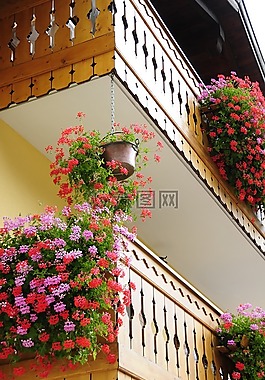 鮮花,陽臺,木材
