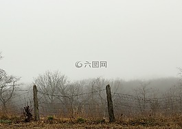 農(nóng)村,國家,籬笆