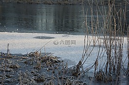 冬天,湖,弗羅斯特