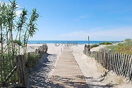 海灘,海灘路徑,海