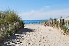 海灘,海灘路徑,海