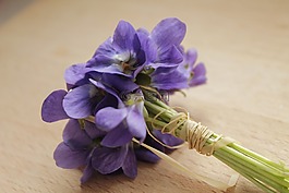 束鮮花,紫羅蘭色,紫色