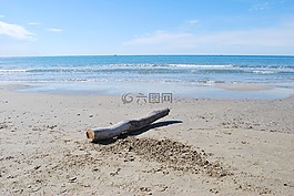 海灘,浮木,朽木