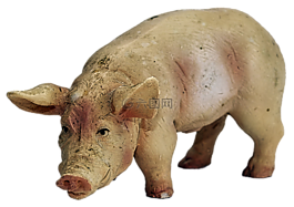 豬,數(shù)字,陶瓷