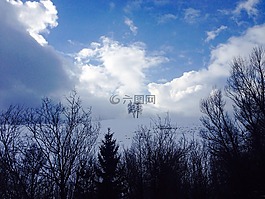 樹木,性質(zhì),云
