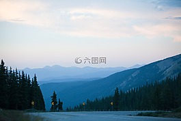 自然,景觀,樹